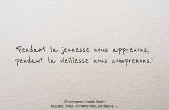 citation apprendre comprendre