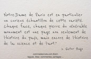 Notre Dame de Paris est en particulier un curieux échantillon de cette variété