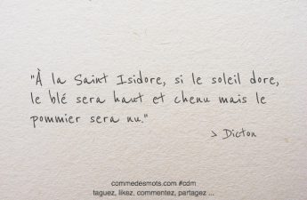 À la Saint Isidore, si le soleil dore, le blé sera haut et chenu mais le pommier sera nu.