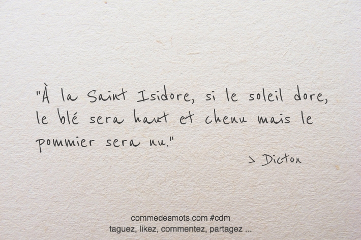 À la Saint Isidore, si le soleil dore, le blé sera haut et chenu mais le pommier sera nu.