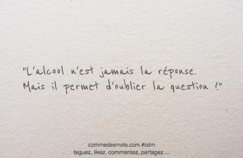 L'alcool n'est jamais la réponse. Mais il permet d'oublier la question !