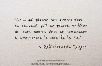 citation du jour de Rabindranath Tagore : "Celui qui plante des arbres tout en sachant qu'il ne pourra profiter de leurs ombres vient de commencer à comprendre le sens de la vie."