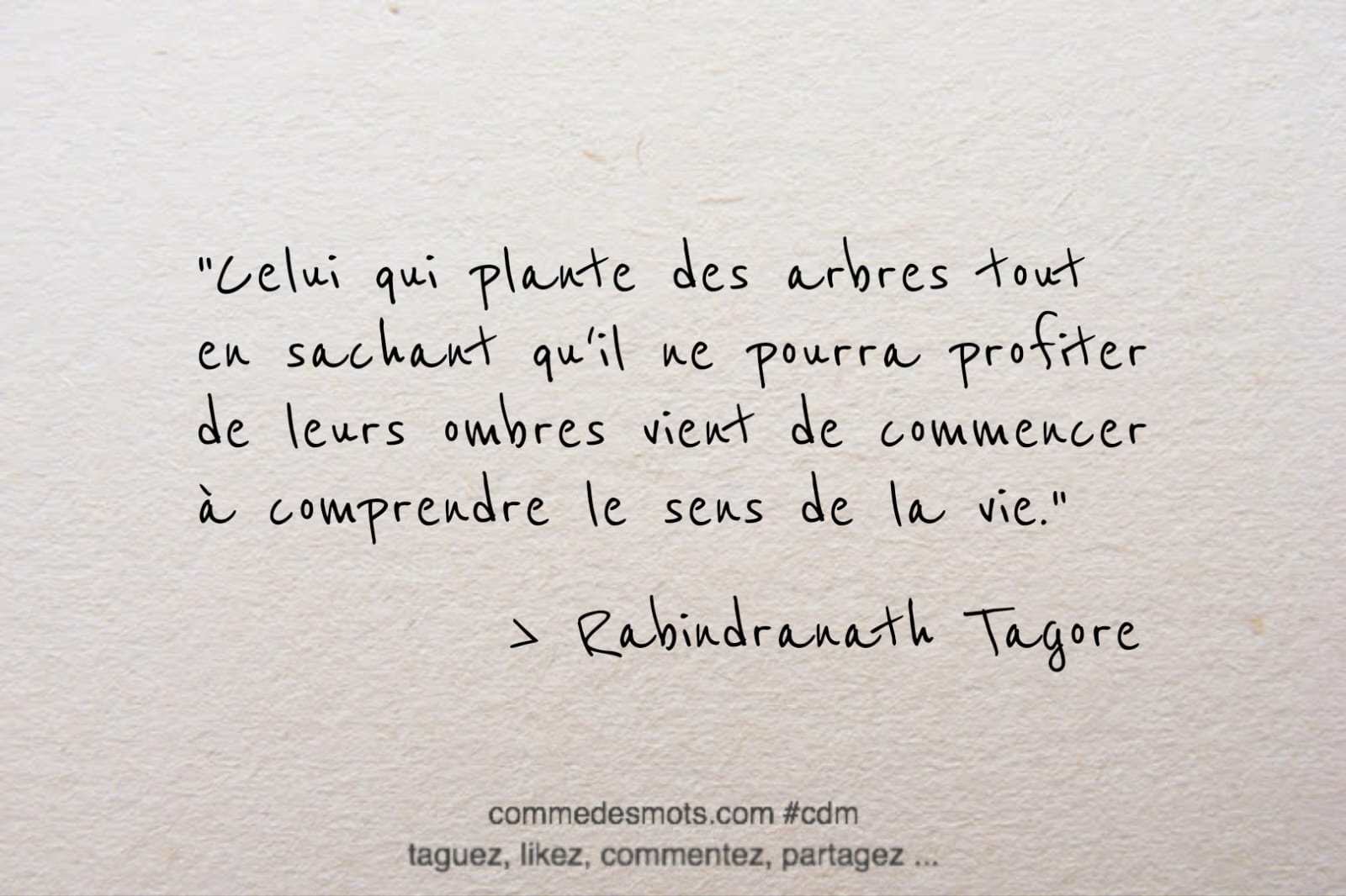 citation du jour de Rabindranath Tagore : "Celui qui plante des arbres tout en sachant qu'il ne pourra profiter de leurs ombres vient de commencer à comprendre le sens de la vie."