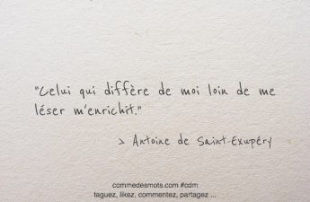 Celui qui diffère de moi