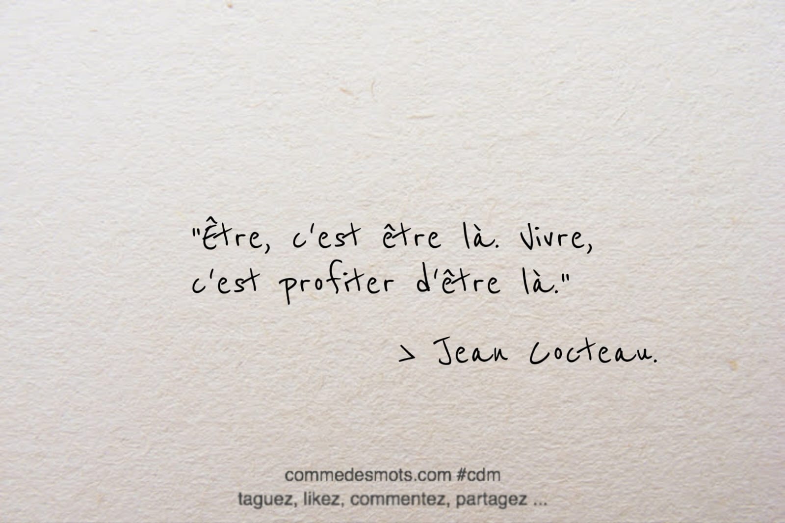 Citation - La vie - Simplement la Vie