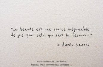 Citation du jour : La beauté est une source inépuisable de joie pour celui qui sait la découvrir.