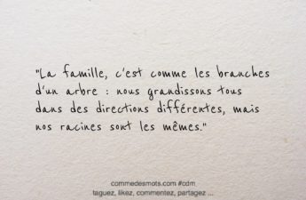 cittation du jour sur le thème de la famille : "La famille, c'est comme les branches d'un arbre : nous grandissons tous dans des directions différentes, mais nos racines sont les mêmes."