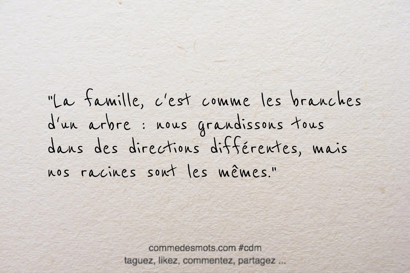 cittation du jour sur le thème de la famille : "La famille, c'est comme les branches d'un arbre : nous grandissons tous dans des directions différentes, mais nos racines sont les mêmes."