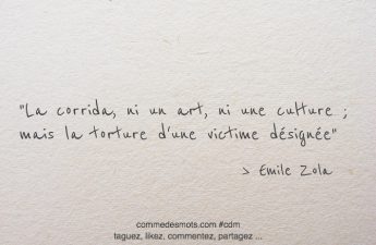 La corrida, ni un art, ni une culture