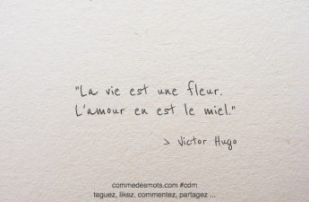 La vie est une fleur