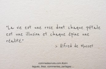 La vie est une rose dont chaque pétale est une illusion et chaque épine une réalité.