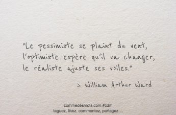 Le pessimiste se plaint du vent, l'optimiste espère qu'il va changer, le réaliste ajuste ses voiles.