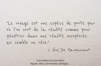 Le voyage est une espèce de porte par où l'on sort de la réalité comme pour pénétrer dans une réalité inexplorée qui semble un rêve.