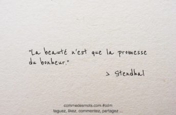 Citation du jour sur le thème "beauté" "bonheur" : La beauté n'est que la promesse du bonheur.