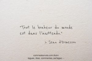 Citations De Jean D Ormesson Comme Des Mots