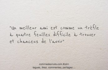 Un meilleur ami est comme un trèfle à quatre feuilles difficile à trouver et chanceux de l'avoir