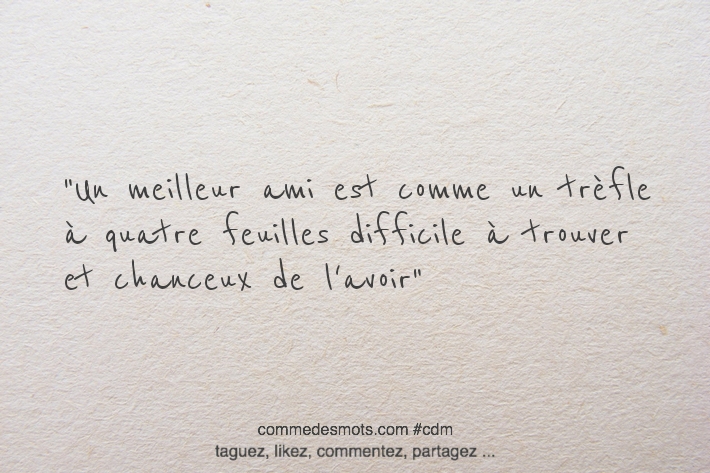 Un meilleur ami est comme un trèfle à quatre feuilles difficile à trouver et chanceux de l'avoir