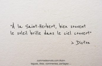 Dicton du jour de la Saint Herbert "À la Saint-Herbert, bien souvent le soleil brille dans le ciel couvert."