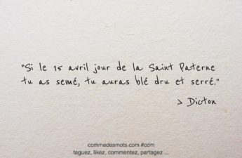 Dicton du 15 avril jour de la Saint Paterne : "Si le 15 avril jour de la Saint Paterne tu as semé, tu auras blé dru et serré."