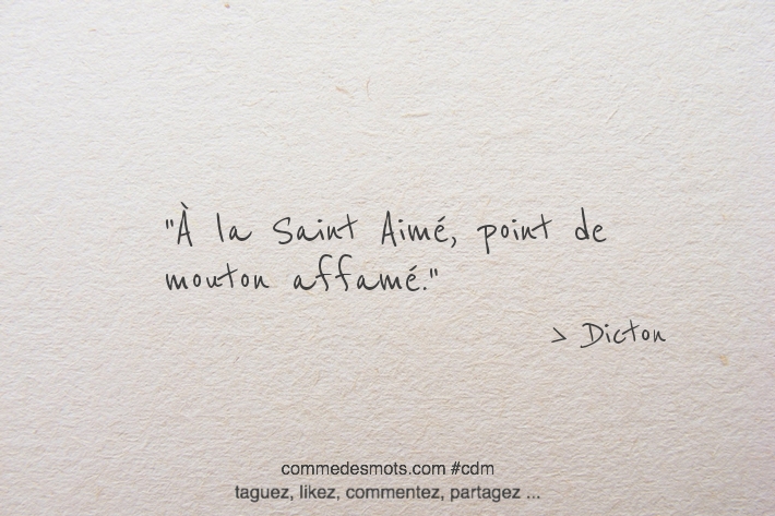 À la Saint Aimé