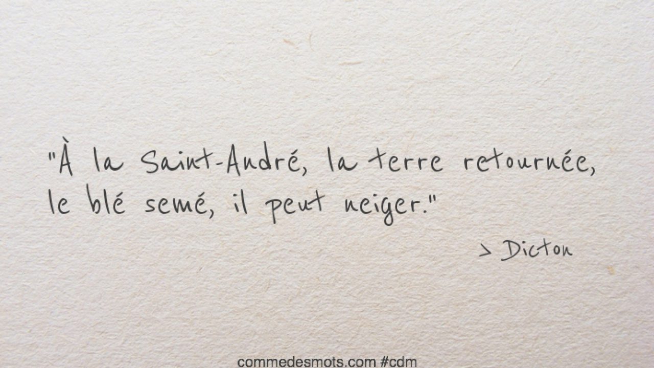 A La Saint Andre Dictons Des Mois Et Des Saints Comme Des Mots A La Saint Andre Dictons Des Mois Et Des Saints Comme Des Mots