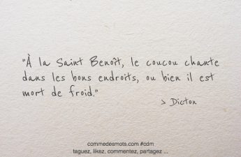 À la Saint Benoît, le coucou chante dans les bons endroits, ou bien il est mort de froid.