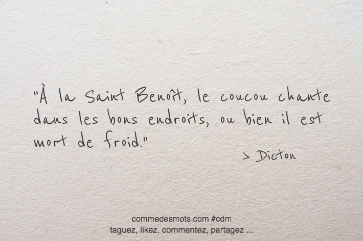 À la Saint Benoît, le coucou chante dans les bons endroits, ou bien il est mort de froid.