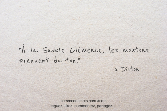 À la Sainte Clémence, les moutons prennent du ton.