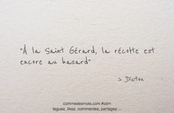 À la Saint Gérard, la récolte est encore au hasard.