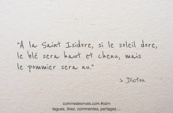 A la Saint Isidore, si le soleil dore, le blé sera haut et chenu, mais le pommier sera nu.