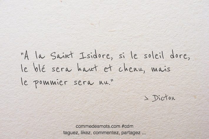 A la Saint Isidore, si le soleil dore, le blé sera haut et chenu, mais le pommier sera nu.