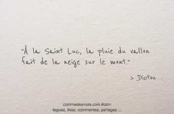 À la Saint Luc
