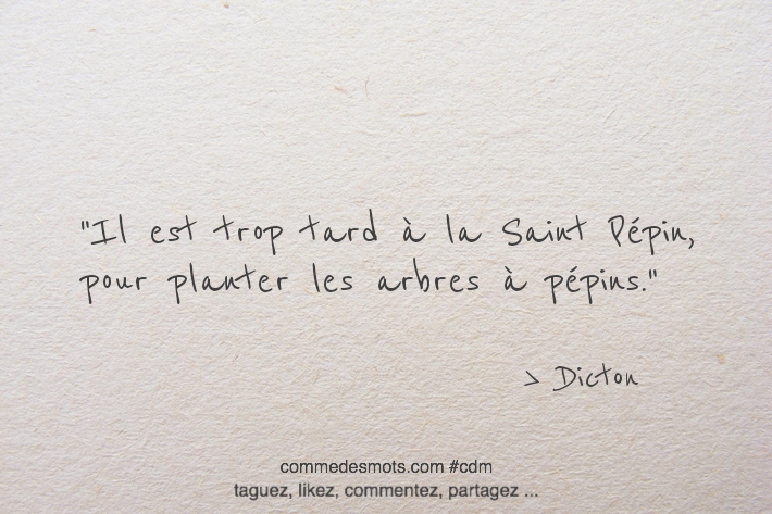 Il est trop tard à la Saint Pépin, pour planter les arbres à pépins.