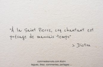 À la Saint Pierre, coq chantant est présage de mauvais temps