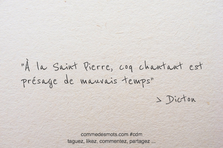 À la Saint Pierre, coq chantant est présage de mauvais temps