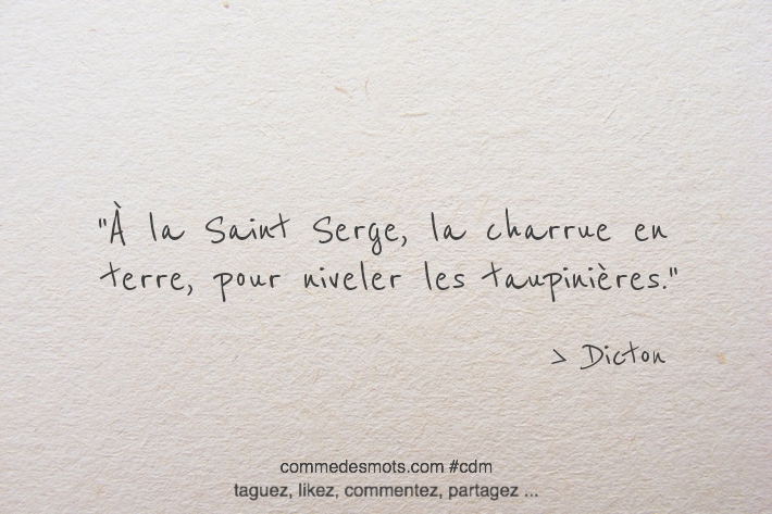 À la Saint-Serge