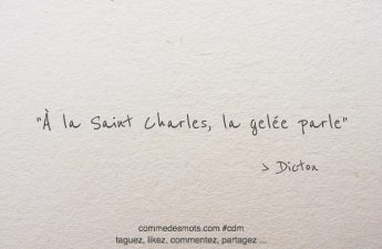 À la Saint Charles, la gelée parle