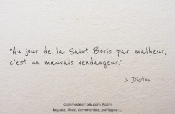 Image d'un dicton pour le 2 mai jour de la Saint Boris écrite en lettres noires sur un fond gris représentant du papier mâché. Le dicton dit : 'À la Saint Boris, mai fait ou défait'. Les mots sont placés au centre de l'image."