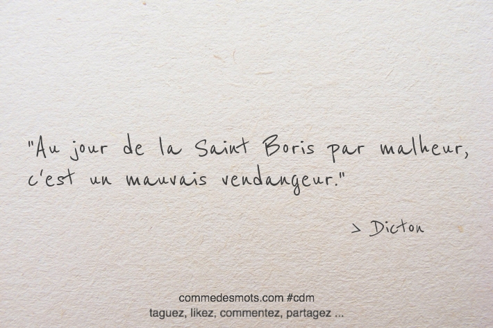 Image d'un dicton pour le 2 mai jour de la Saint Boris écrite en lettres noires sur un fond gris représentant du papier mâché. Le dicton dit : 'À la Saint Boris, mai fait ou défait'. Les mots sont placés au centre de l'image."