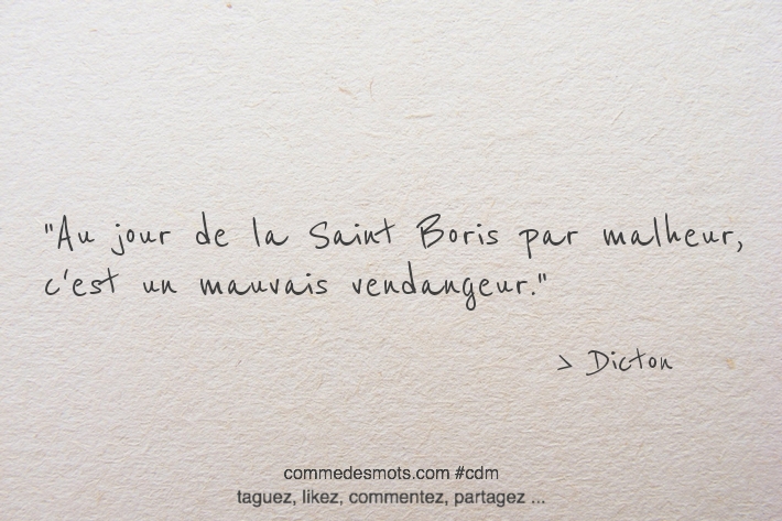 Image d'un dicton pour le 2 mai jour de la Saint Boris écrite en lettres noires sur un fond gris représentant du papier mâché. Le dicton dit : 'À la Saint Boris, mai fait ou défait'. Les mots sont placés au centre de l'image."