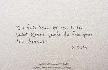 S'il fait beau et sec à la Saint Roméo, garde du foin pour tes chevaux