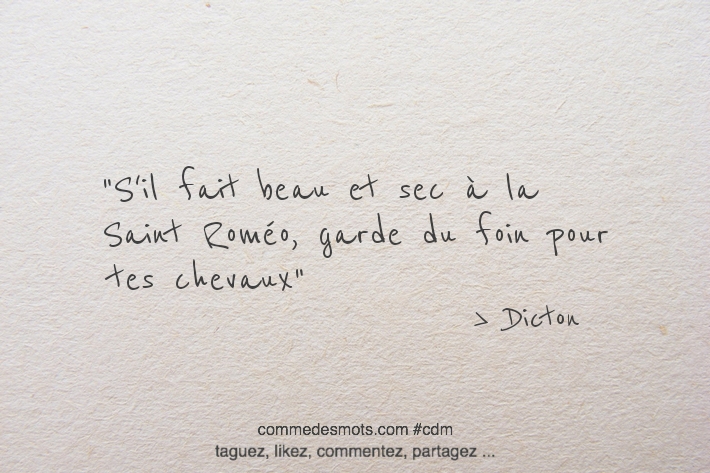 S'il fait beau et sec à la Saint Roméo, garde du foin pour tes chevaux