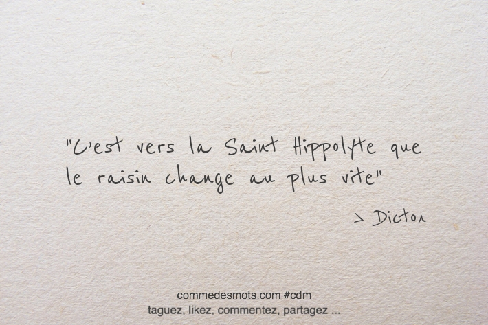 C’est vers la Saint Hippolyte