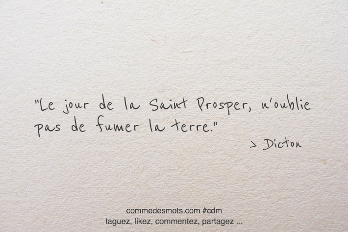 Le jour de la Saint Prosper, n'oublie pas de fumer la terre.