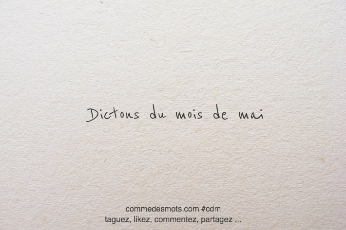 Image qui illustre la catégorie dicton du mois de mai écrite en lettres noires sur un fond gris représentant du papier mâché. Le texte dit : 'Dicton du mois de mai." Les mots sont placés au centre de l'image.