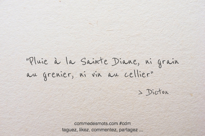 Pluie à la Sainte Diane, ni grain au grenier, ni vin au cellier.