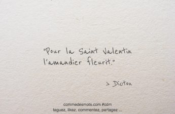 Pour la Saint Valentin l'amandier fleurit