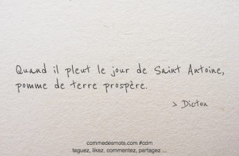 Quand il pleut le jour de Saint Antoine, pomme de terre prospère.