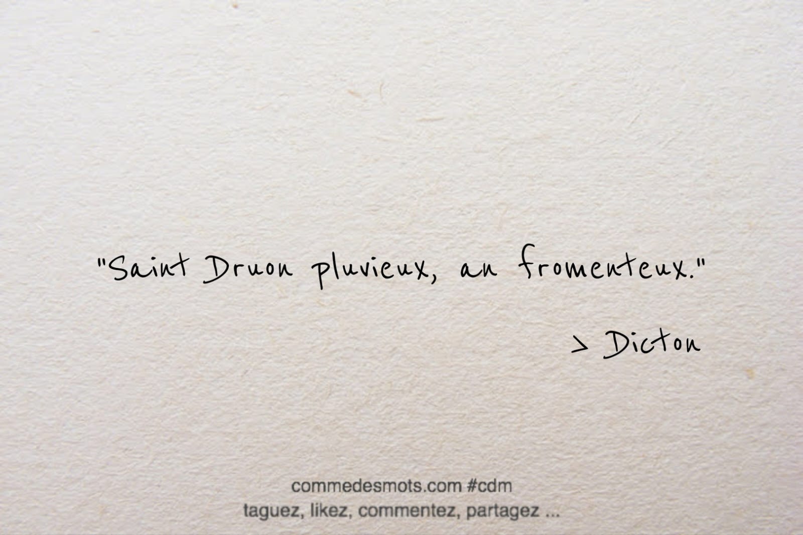 Dicton du 16 avril jour de la Saint Druon : "Saint Druon pluvieux, an fromenteux."