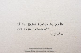 Image d'un dicton pour le 4 mai jour de la Saint Florian écrite en lettres noires sur un fond gris représentant du papier mâché. Le dicton dit : À la Saint Florian le jardin est enfin luxuriant. Les mots sont placés au centre de l'image."